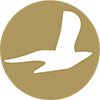 Cham Wings Airlines logo