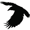 Ravn Alaska logo