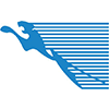 Congo Airways logo