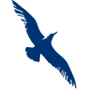 Cape Air logo