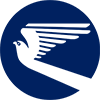 Turkmenistan Airlines logo