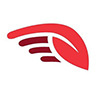 Air Antwerp logo