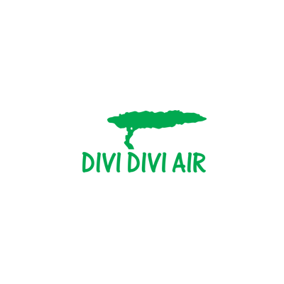 Divi Divi Air logo